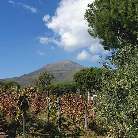 Beb Casale Pompei Rendine Villa