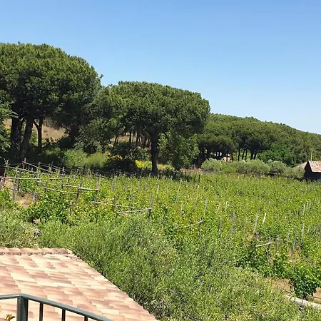 Beb Casale Pompei Rendine Villa Boscotrecase